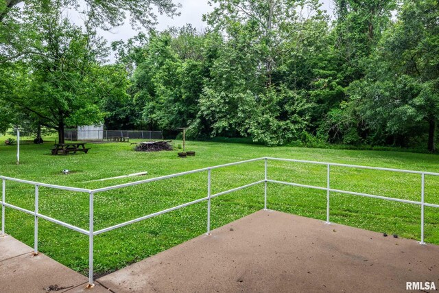 16777 Dublin St, West Frankfort, IL 62896 - view of yard