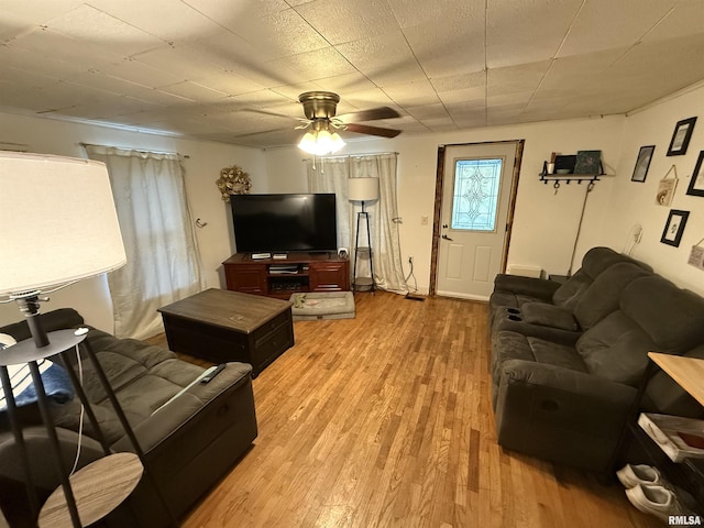 41 Cache Ave, Buncombe, IL 62912 - living area featuring ceiling fan and light wood-type flooring