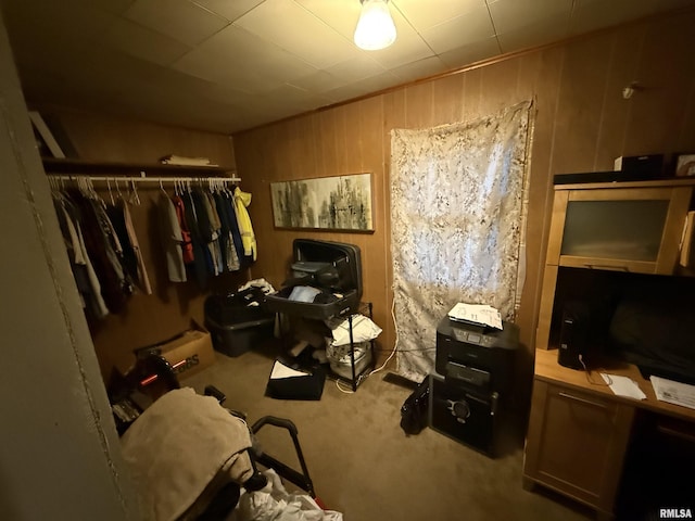 41 Cache Ave, Buncombe, IL 62912 - office space featuring wooden walls and carpet floors