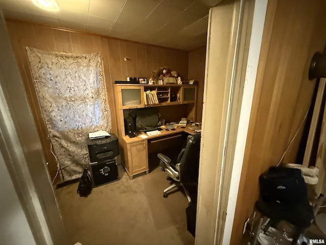 41 Cache Ave, Buncombe, IL 62912 - office space featuring light colored carpet and wooden walls