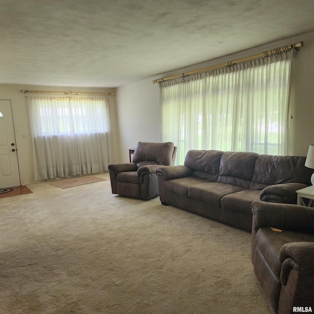 10 Homestead Dr, Mount Vernon, IL 62864 - photo 20