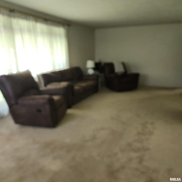 10 Homestead Dr, Mount Vernon, IL 62864 - photo 3