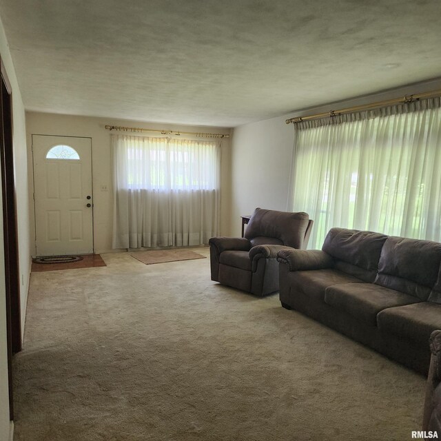 10 Homestead Dr, Mount Vernon, IL 62864 - photo 42