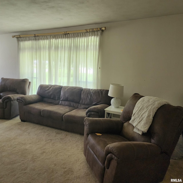 10 Homestead Dr, Mount Vernon, IL 62864 - photo 43