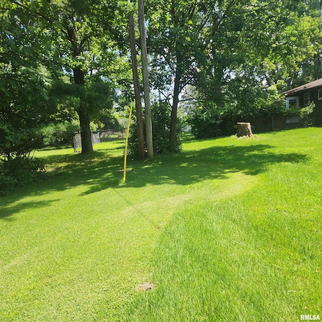 10 Homestead Dr, Mount Vernon, IL 62864 - photo 53