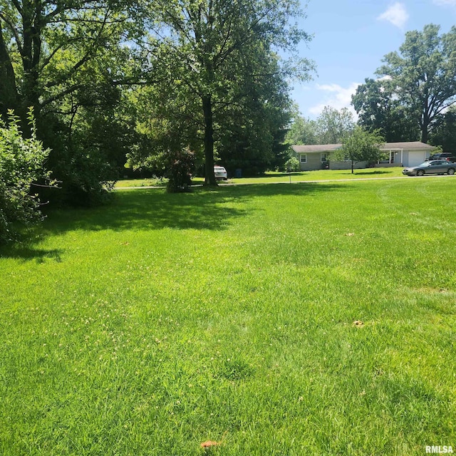 10 Homestead Dr, Mount Vernon, IL 62864 - photo 55