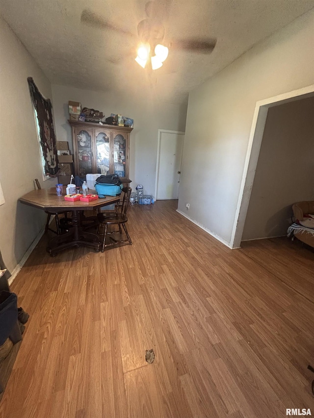 1112 Ophia St, Metropolis, IL 62960 - dining space featuring wood finished floors and a textured ceiling