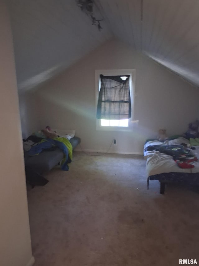1112 Ophia St, Metropolis, IL 62960 - unfurnished bedroom with vaulted ceiling and carpet