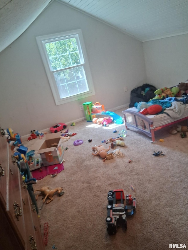 1112 Ophia St, Metropolis, IL 62960 - unfurnished bedroom with vaulted ceiling