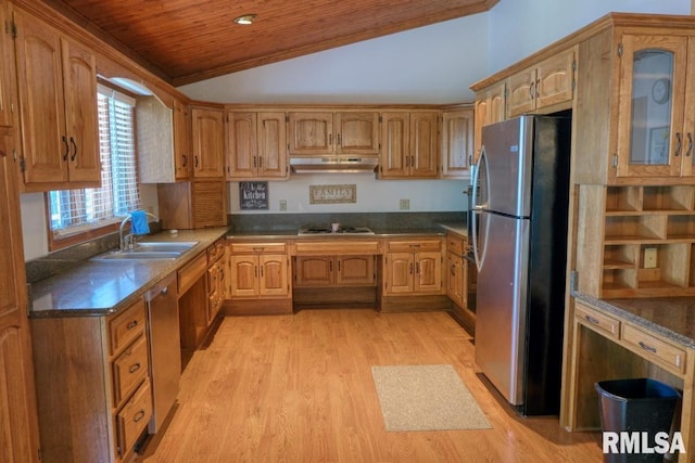 12299 Pebble Point Rd, Marion, IL 62959 - kitchen with appliances with stainless steel finishes, under cabinet range hood, wood ceiling, lofted ceiling, and light wood-style flooring