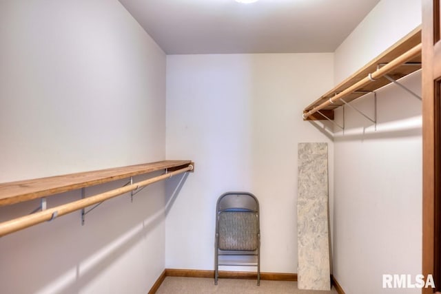 12299 Pebble Point Rd, Marion, IL 62959 - walk in closet with carpet