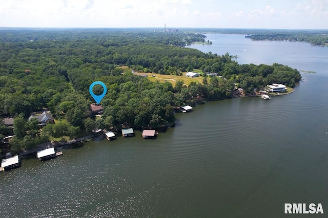 12299 Pebble Point Rd, Marion, IL 62959 - bird's eye view of a nearby body of water and a forest