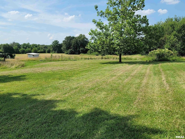 3993 Greenridge Rd, Alma, IL 62807 - photo 5