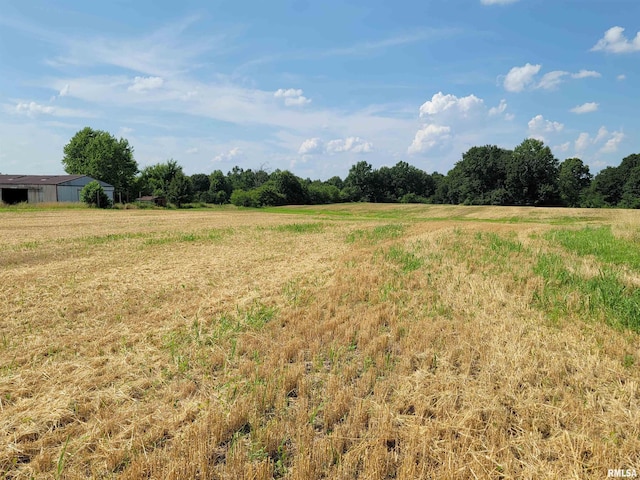 3993 Greenridge Rd, Alma, IL 62807 - photo 42