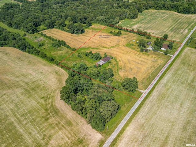 3993 Greenridge Rd, Alma, IL 62807 - photo 43