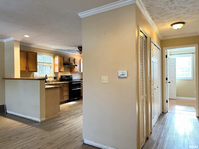 511 W Rigdon St, Carbondale, IL 62901 - photo 12