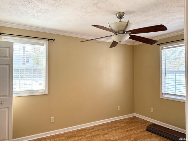 511 W Rigdon St, Carbondale, IL 62901 - photo 13