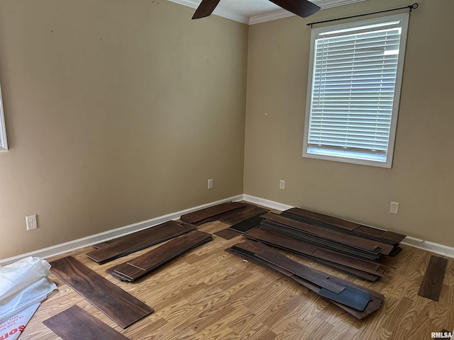 511 W Rigdon St, Carbondale, IL 62901 - photo 20