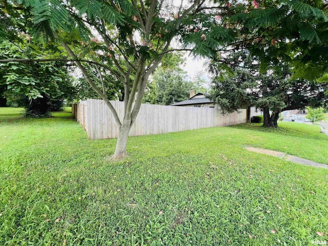 385 3rd St, Omaha, IL 62871 - view of yard