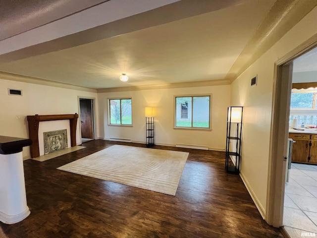 385 3rd St, Omaha, IL 62871 - unfurnished living room featuring plenty of natural light, wood finished floors, and a baseboard heating unit