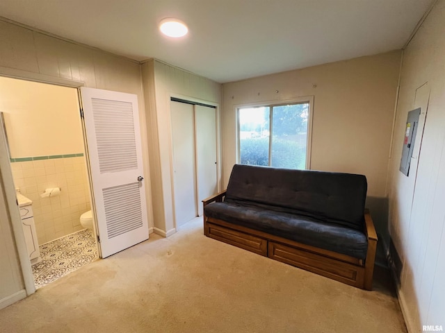 385 3rd St, Omaha, IL 62871 - sitting room with carpet flooring and electric panel