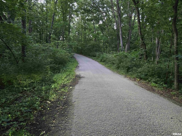 1640 Club House Rd, Centralia, IL 62801 - photo 75