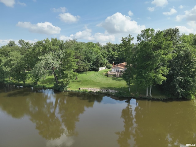1640 Club House Rd, Centralia, IL 62801 - photo 90
