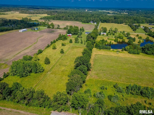 5395 Wards Mill Rd, Marion, IL 62959 - photo 68