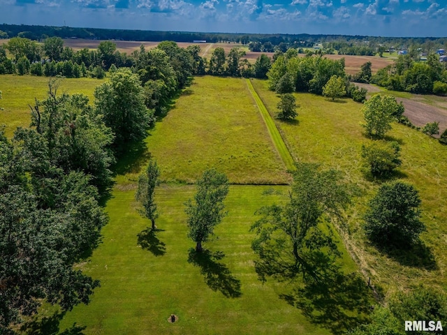 5395 Wards Mill Rd, Marion, IL 62959 - photo 71