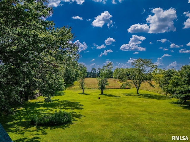 5395 Wards Mill Rd, Marion, IL 62959 - photo 75