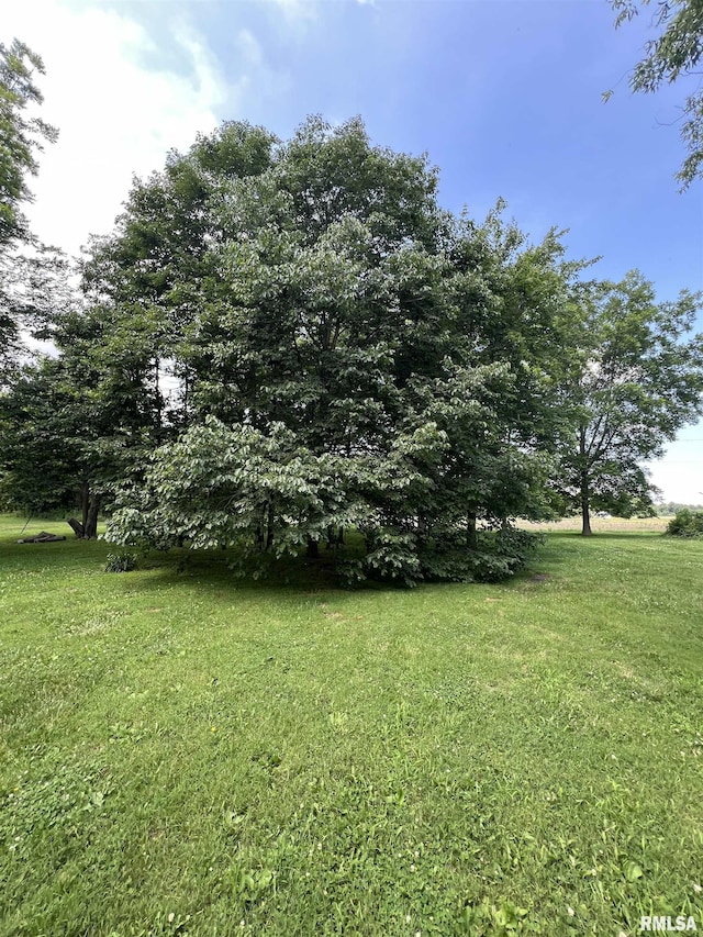 1251 State Route 37, Kell, IL 62853 - photo 23