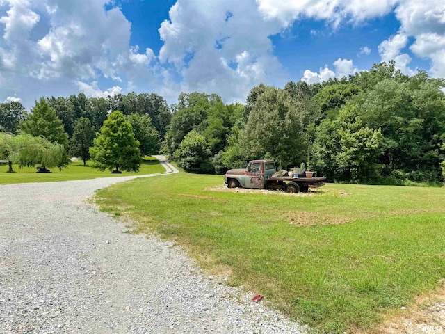 339 Spring St, Dongola, IL 62926 - view of road