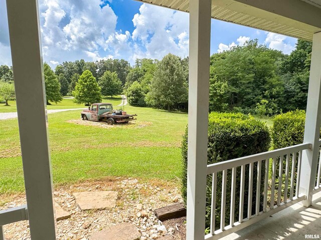 339 Spring St, Dongola, IL 62926 - view of green lawn featuring view of scattered trees