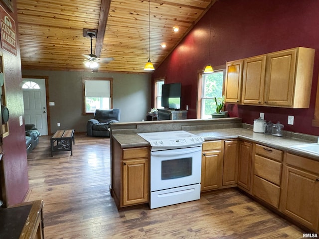 339 Spring St, Dongola, IL 62926 - kitchen with white electric range oven, wood ceiling, a peninsula, open floor plan, and dark wood-style flooring