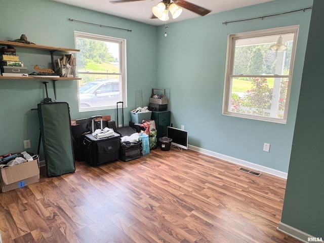 339 Spring St, Dongola, IL 62926 - home office with ceiling fan and wood finished floors