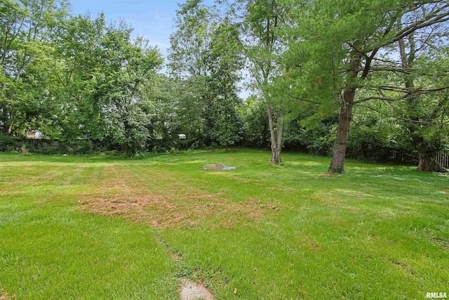 1130 W Webster St, Benton, IL 62812 - view of grassy yard