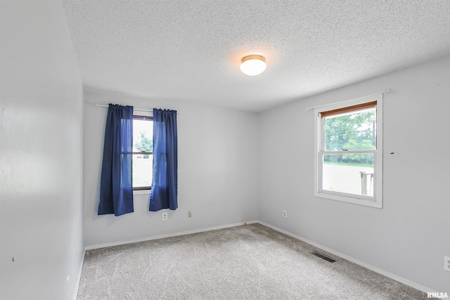 1130 W Webster St, Benton, IL 62812 - carpeted spare room with plenty of natural light and a textured ceiling