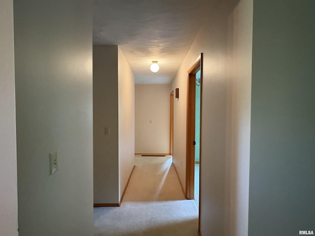 822 N 24th St, Murphysboro, IL 62966 - hall featuring carpet flooring