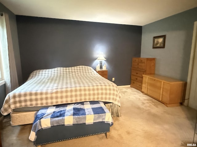1310 E Grand Ave, Carbondale, IL 62901 - photo 16