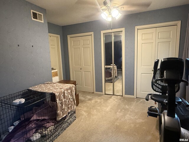 1310 E Grand Ave, Carbondale, IL 62901 - photo 18