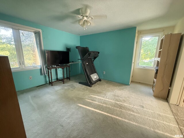 1310 E Grand Ave, Carbondale, IL 62901 - photo 21