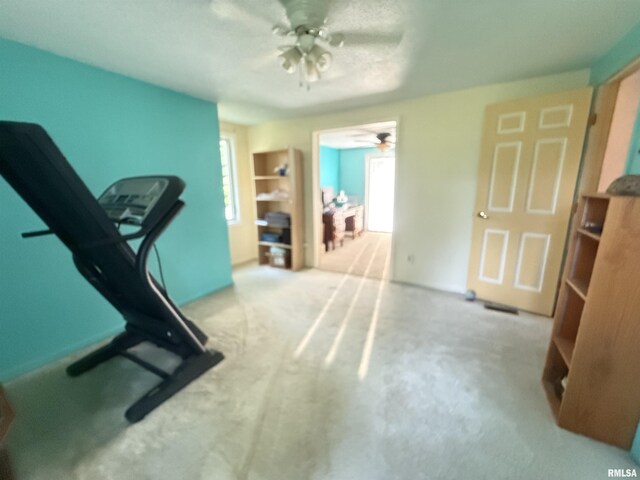 1310 E Grand Ave, Carbondale, IL 62901 - photo 22