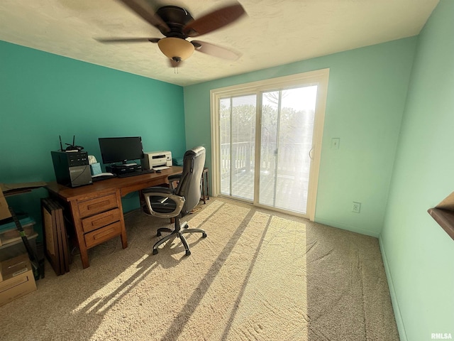 1310 E Grand Ave, Carbondale, IL 62901 - photo 23