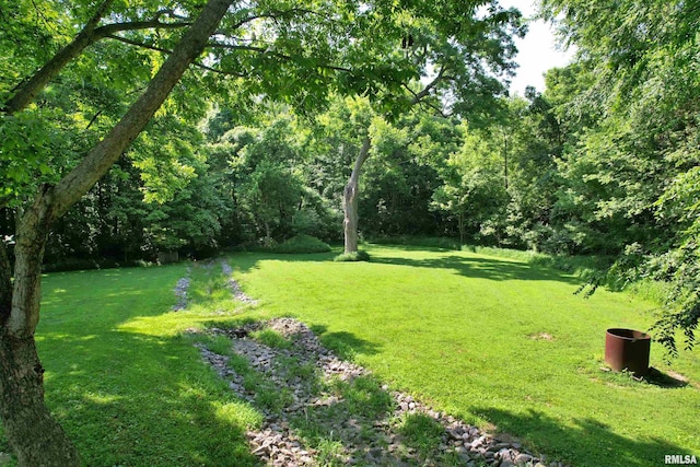 850 Joppa N Ave, Joppa, IL 62953 - view of grassy yard