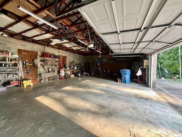 850 Joppa N Ave, Joppa, IL 62953 - garage with a garage door opener and a workshop area