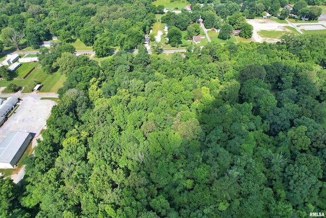 850 Joppa N Ave, Joppa, IL 62953 - view of property location with a heavily wooded area