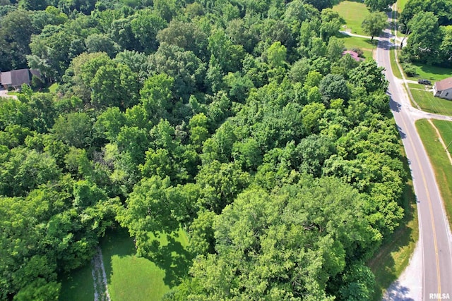 850 Joppa N Ave, Joppa, IL 62953 - view of property location