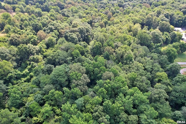 850 Joppa N Ave, Joppa, IL 62953 - aerial view of a forest