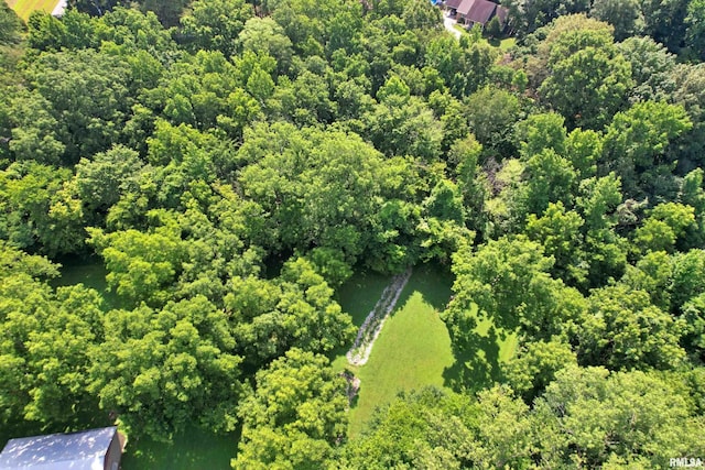 850 Joppa N Ave, Joppa, IL 62953 - drone / aerial view