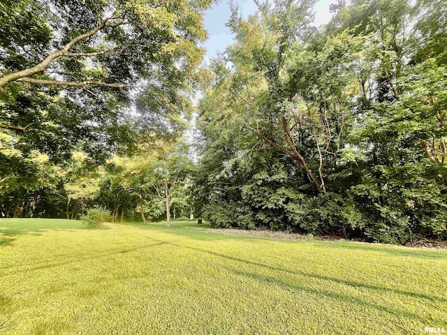 850 Joppa N Ave, Joppa, IL 62953 - view of grassy yard